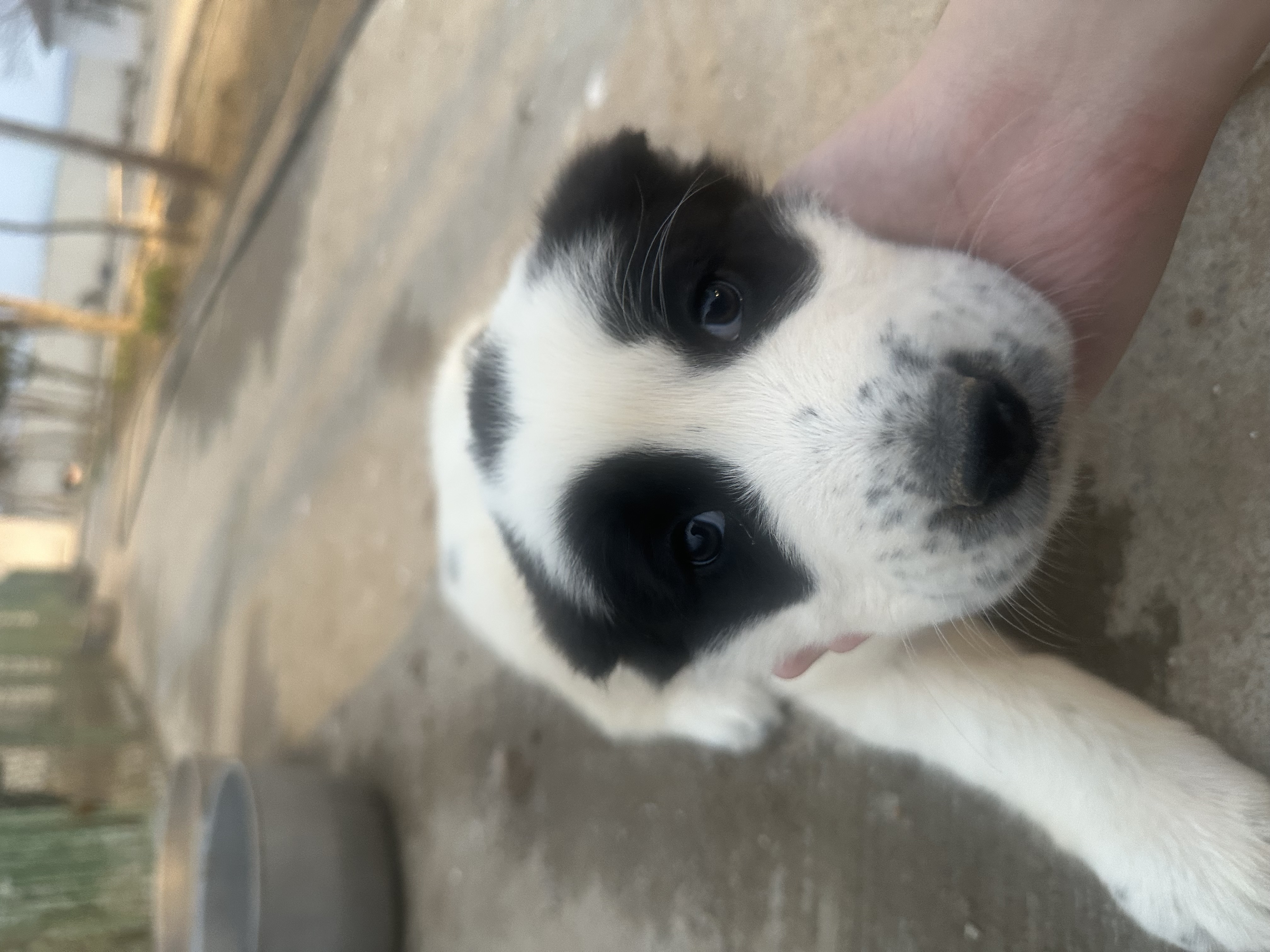 Изображение к посту от zkaktuc