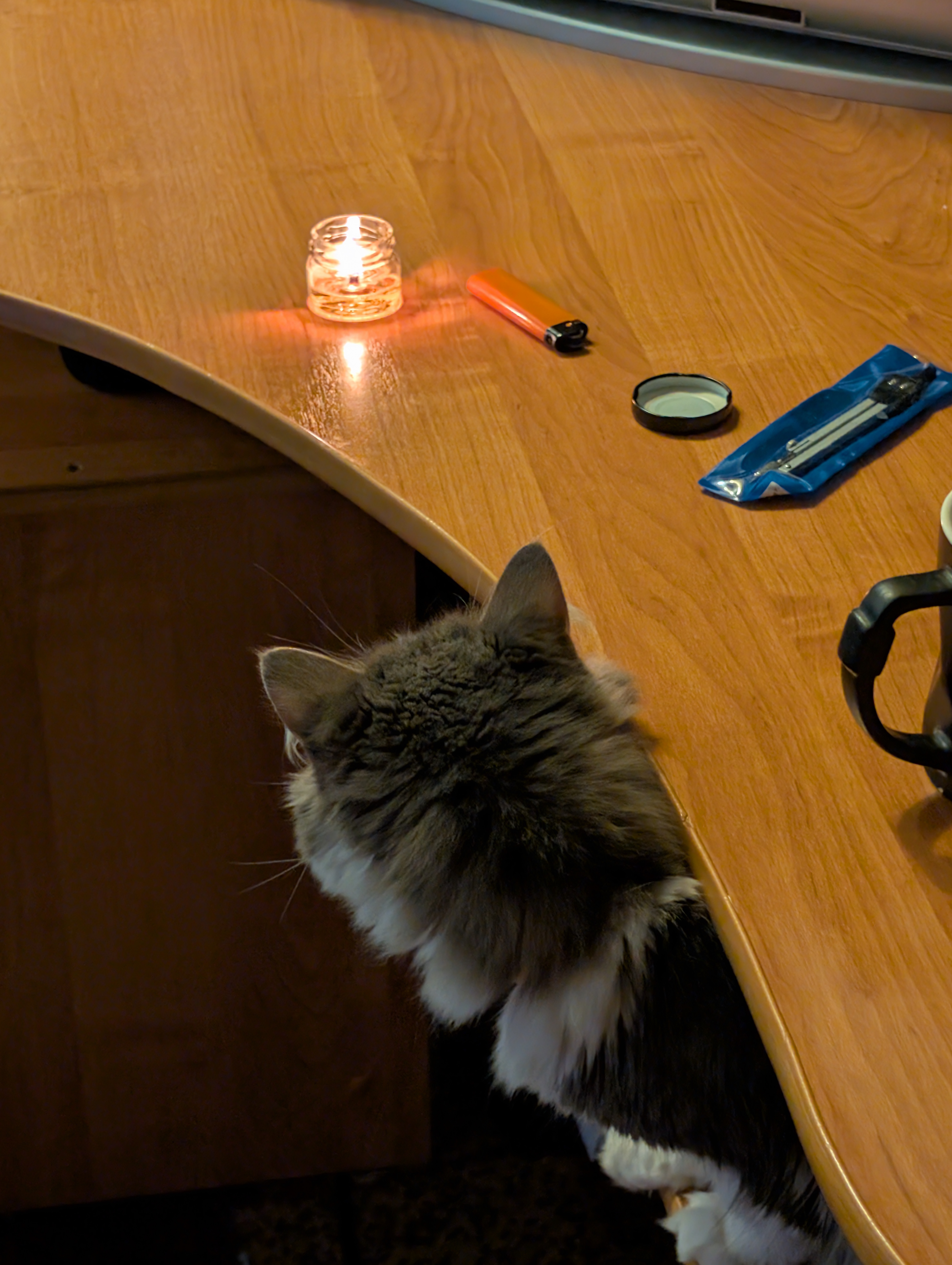 Изображение к посту от stone